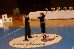 2006 04 01 acro val marne 217